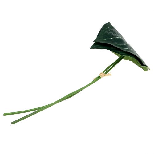 Floristik24 Kaladiumblad 32cm 2stk