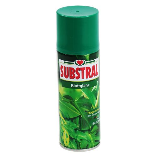 Floristik24 Bladglans 200ml