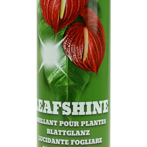 Floristik24 Bladglansspray 400ml