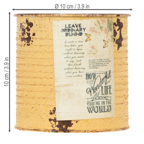 gjenstander Dekorativ blikkboks aprikos metallblomsterpotte Ø11cm H10,5cm