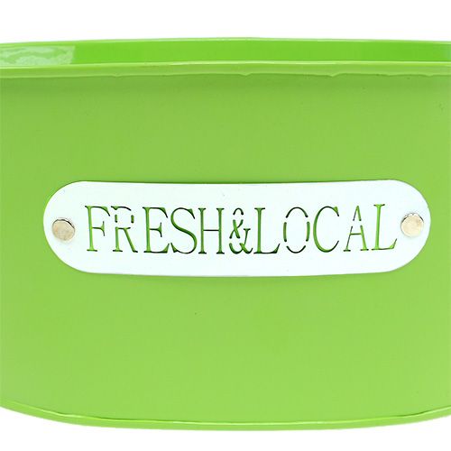 Floristik24 Blikkskål oval grønn 22cm x 15cm H10cm