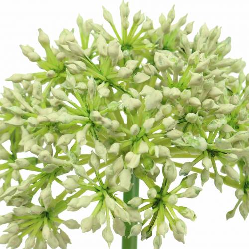 gjenstander Allium kunstig hvit 55cm