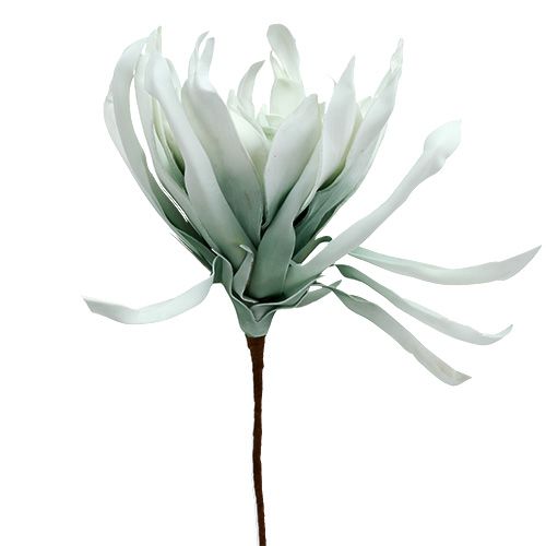 Floristik24 Blossom gren skum hvit, grønn 72cm