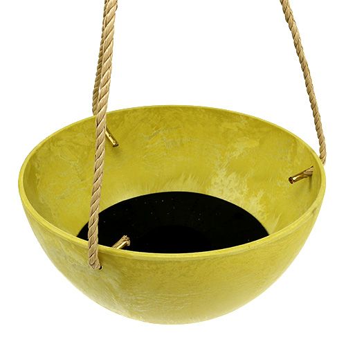 Floristik24 Blomsterkurv Fiona Ø25cm H12cm Sitron