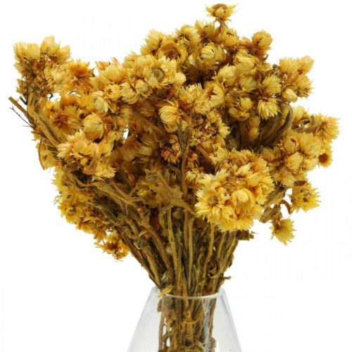 gjenstander Mini halm blomst gule tørkede blomster knippe tørr bukett H20cm 15g