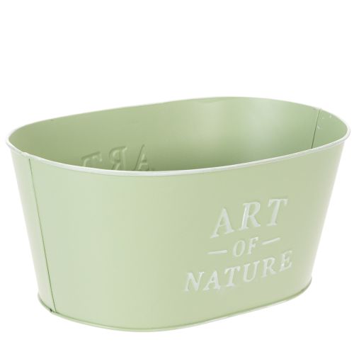 Blomsterskål oval sink mintgrønn 27×18 cm H12,5 cm | Floristik24.no