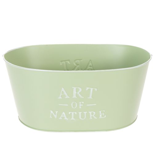 Blomsterskål oval sink mintgrønn 27×18 cm H12,5 cm kjøpe | Floristik24.no