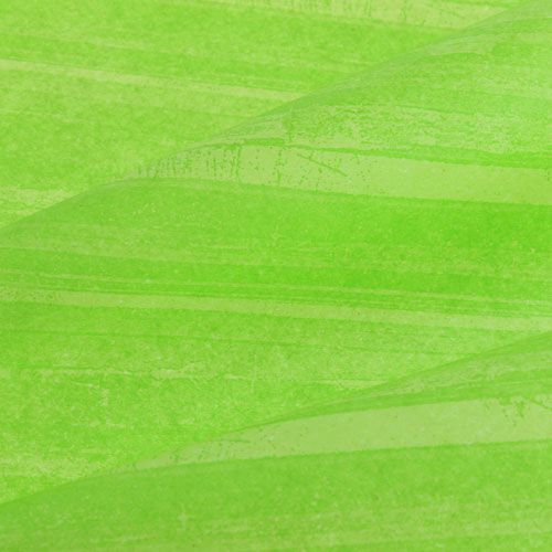 Floristik24 Flower Silk Trendline Grønn 50cm 6kg