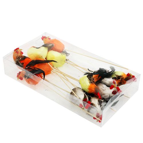 Floristik24 Blomsterplugg hane assorterte farger 25cm 12stk