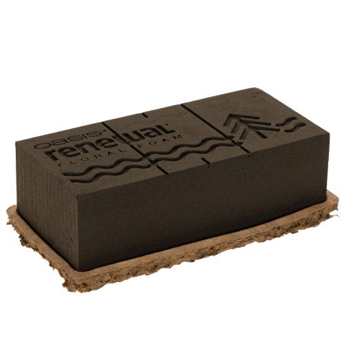 Blomsterskum 1/1 murstein OASIS® Renewal® Blomsterskum Biolit® 24 cm 2 stk
