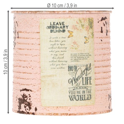 gjenstander Blomsterpotte dekorativ boks laks metall sommerdekorasjon Ø11cm H10.5cm