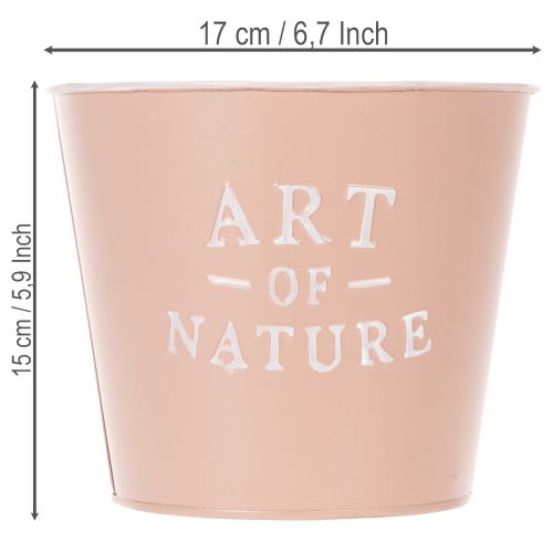 gjenstander Sinkblomsterpotte Art of Nature, antikk rose, Ø17,5 cm H15 cm