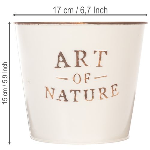Sinkblomsterpotte Art of Nature Kremfarget Ø17,5 cm H15 cm | Floristik24.no