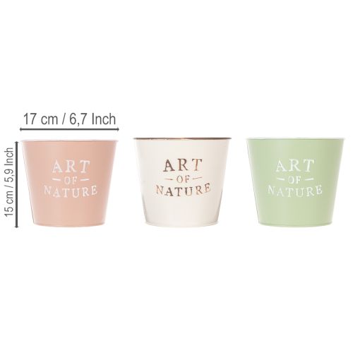Sett med 3 runde blomsterpotter i vintage-stil, 17 cm, pastellfarger | Floristik24.no