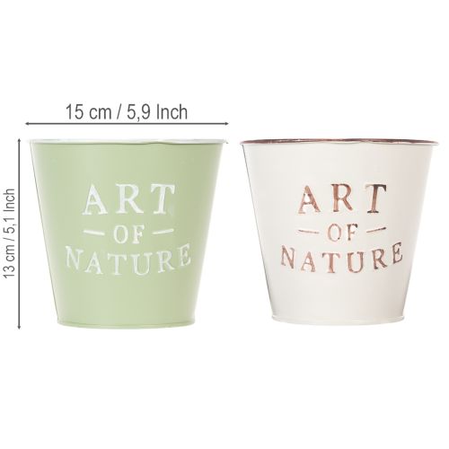 Art of Nature blomsterpotte med bokstaver, dekorasjon for vinduskarm og stue, 15 cm, 2 stk. | Floristik24.no