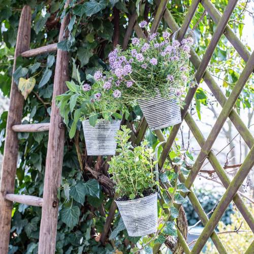 Floristik24 Blomsterkrukke for oppheng av metall antikk krem Ø13cm H11,5cm