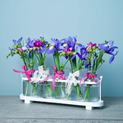 Floristik24 Blomstervase apotekflasker apotek glass dekorasjon på brett 38cm