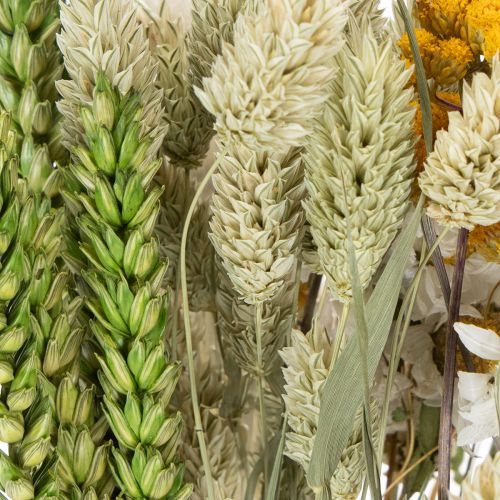 gjenstander Tørket blomsterbukett, elegant tørket blomsterbukett til stue, 50 cm