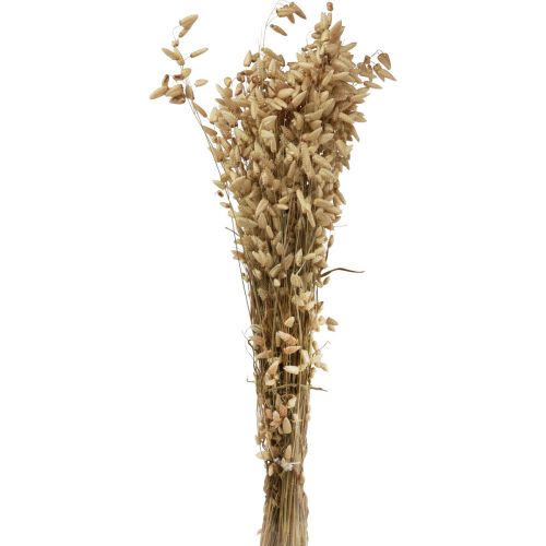 gjenstander Tørket blomst skjelving gress naturlig Briza prydgress 60cm 100g