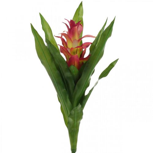 Floristik24 Bromelia kunst Rosa Kunstig blomst til pinne 54cm