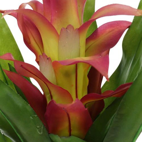 Floristik24 Bromelia kunst Rosa Kunstig blomst til pinne 54cm