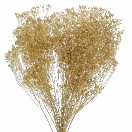 Tørkede blomster Broom Bloom Bleket 140g