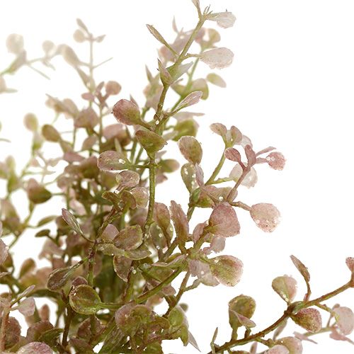 Floristik24 Boksvedgren rosa, rosa med glimmer 32cm