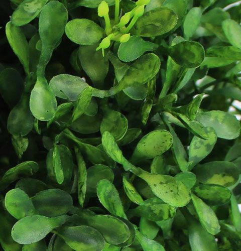 gjenstander Boks ball Ø12cm Kunstig grønne planter dekorasjon