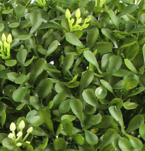 Floristik24 Boksball Ø25cm