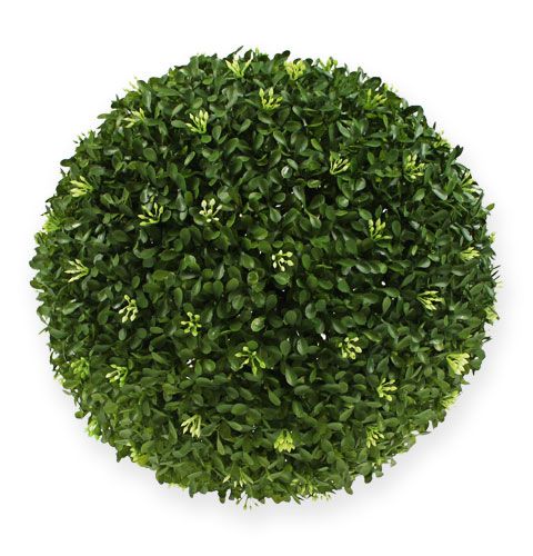 Floristik24 Bokskule Ø30cm