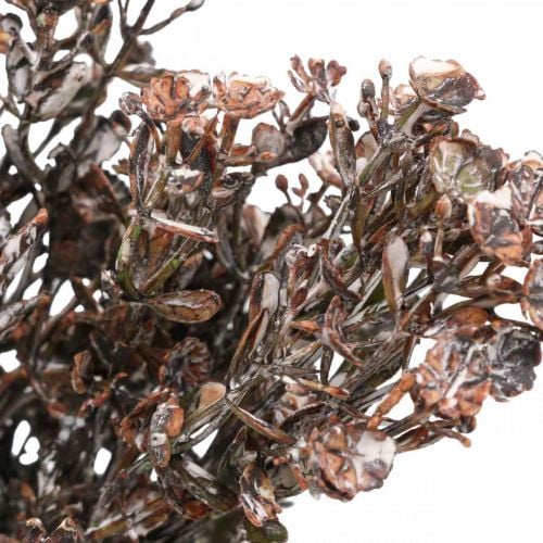 Kunstige planter brun høstpynt vinterdekor Drylook 38cm 3stk