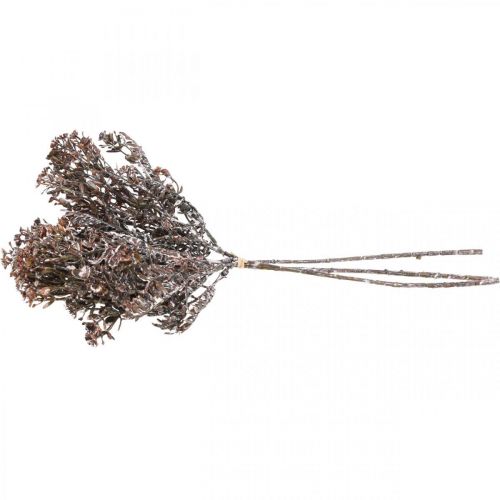 gjenstander Kunstige planter brun høstdekor vinterdekor Drylook 38cm 3 stk