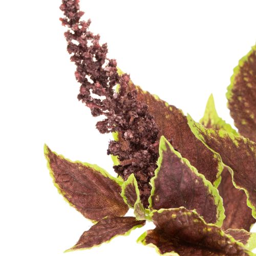 Kunstig coleus med røde blader, kunstig plante, 20 cm | Floristik24.no