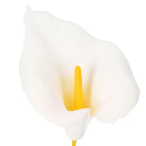 Kunstig calla med gul støvbærer, dekorative blomster, 35 cm, 10 stk. | Floristik24.no