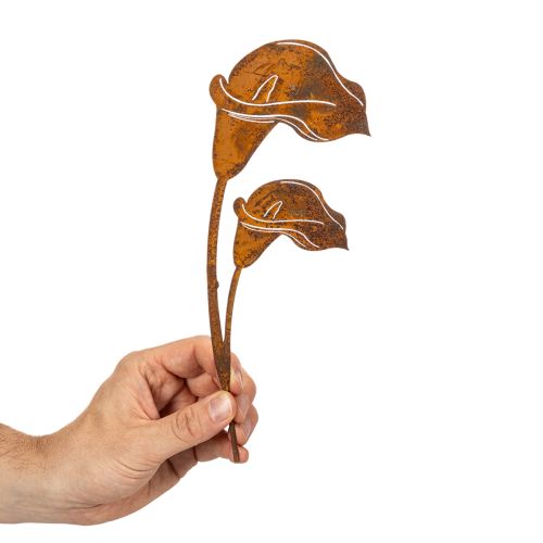 Hagepike Calla blomst rust for graver og blomsterdekorasjoner 25 cm 6 stk | Floristik24.no