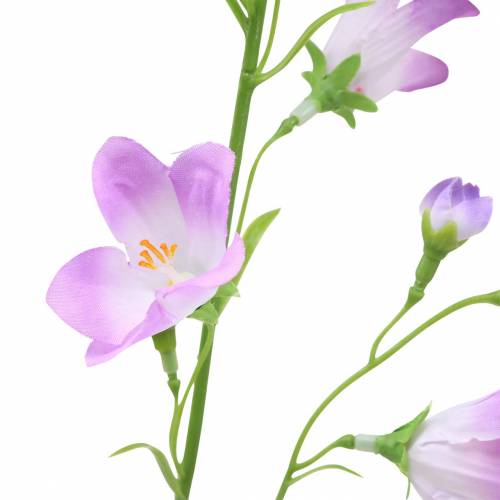 Floristik24 Kunstig Bellflower Campanula Fiolett Hvit 66cm