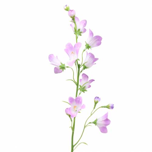 Floristik24 Kunstig Bellflower Campanula Fiolett Hvit 66cm