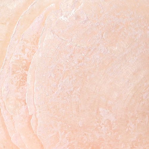 Floristik24 Capiz skjell perlemorskiver deco skjell lys rosa Ø8cm