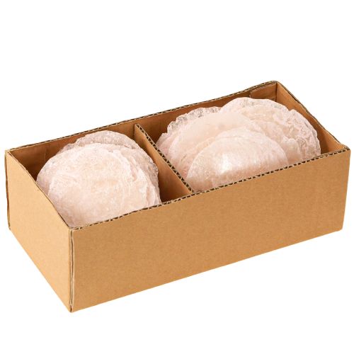 Floristik24 Capiz skjell perlemorskiver deco skjell lys rosa Ø8cm