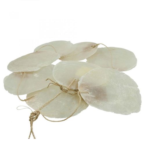 Floristik24 Capiz skallkranser perlemor, maritim dekorasjon 100cm