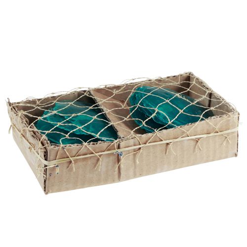 Floristik24 Capiz-skjell Capiz-skiver perlemorskiver turkis 7,5–9,5 cm 300g