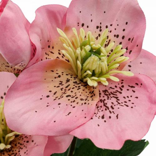 Floristik24 Julerose, fasterose, hellebore, kunstige planter rosa L34cm 4stk