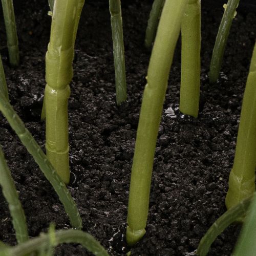 Kunstig Helleborus potteplante, julerose, til hjemmedekorasjon, 50 cm | Floristik24.no