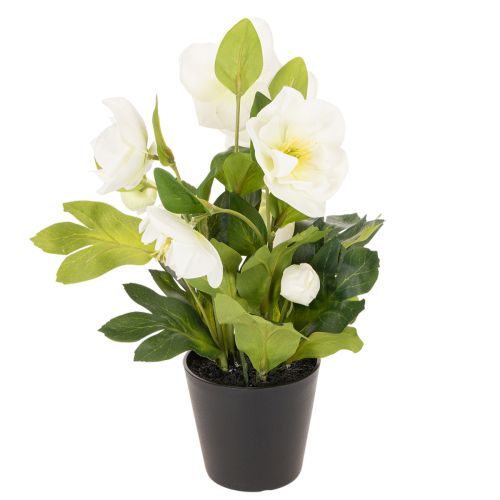 Kunstig julerose, potteblomst, borddekorasjon, 34 cm | Floristik24.no
