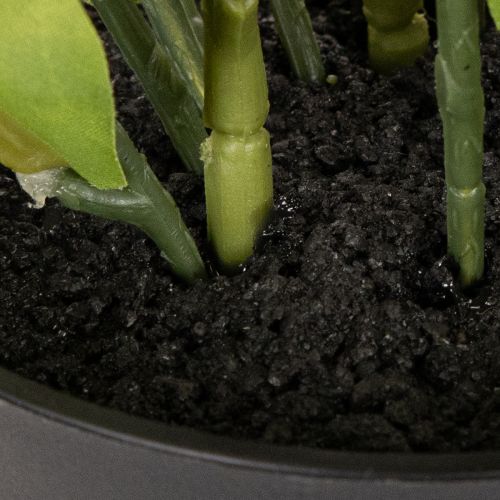 Kunstig julerose, potteblomst, borddekorasjon, 34 cm | Floristik24.no