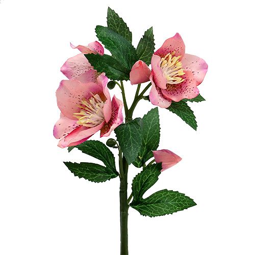 Floristik24 Julerosa rosa L22cm 1st