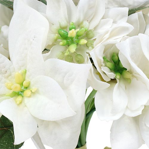 Floristik24 Julestjerne i en haug hvit Ø18cm L30cm