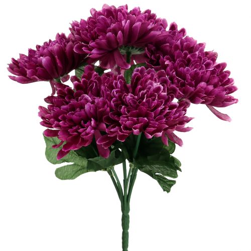 Floristik24 Krysantemum aubergine med 7 blomster