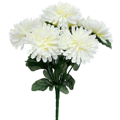 Floristik24 Hvit krysantemum med 7 blomster