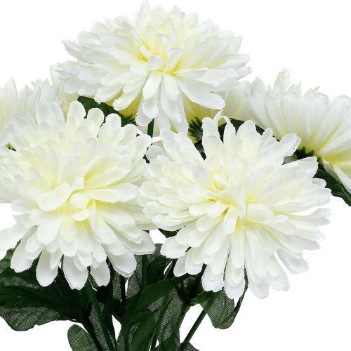 gjenstander Hvit krysantemum med 7 blomster